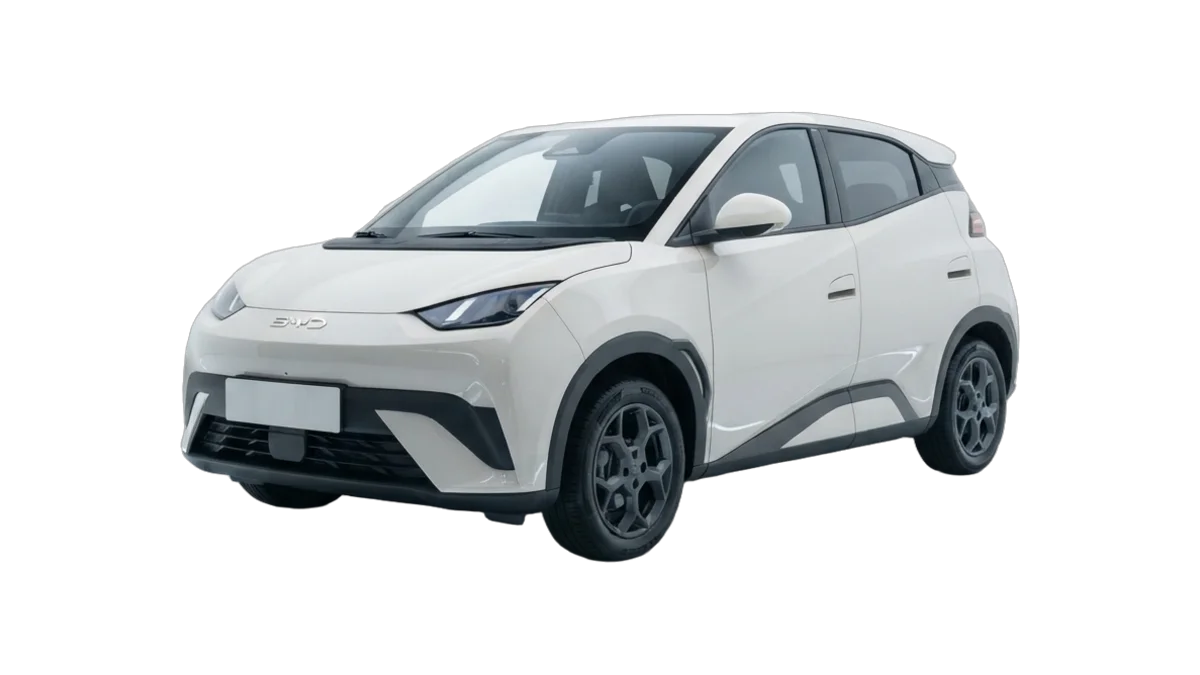Renting BYD Dolphin